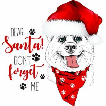 Dear Santa Don't Forget Me OEM - 2